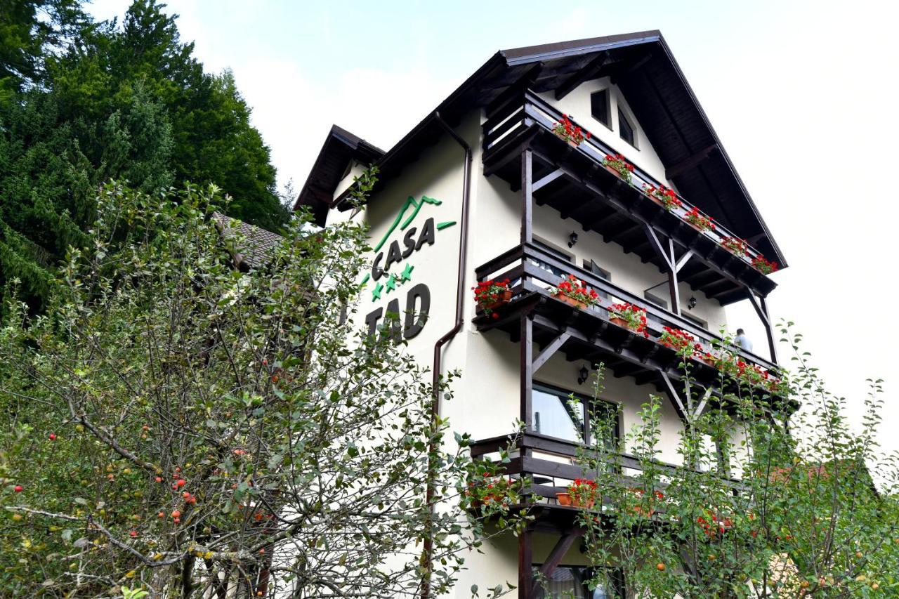 Casa Tad Hotell Buşteni Exteriör bild